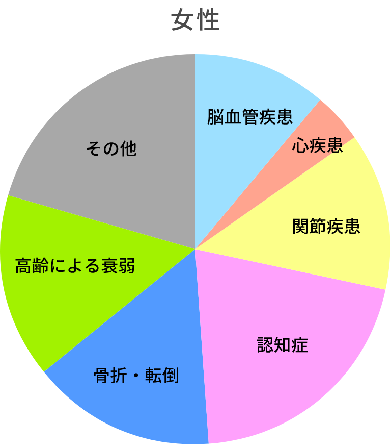 女性のグラフ